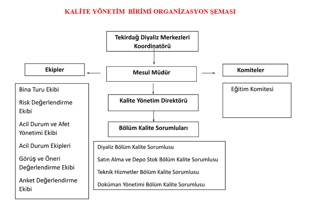 Kalie yönetim birimi organizasyon şeması