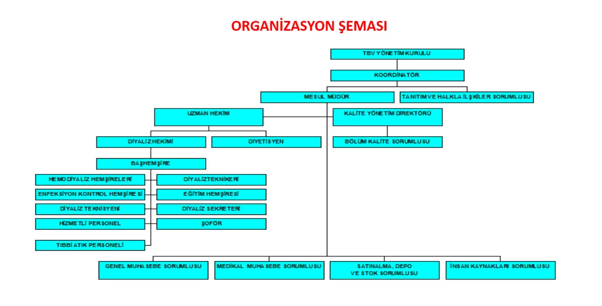 Kalie yönetim birimi organizasyon şeması